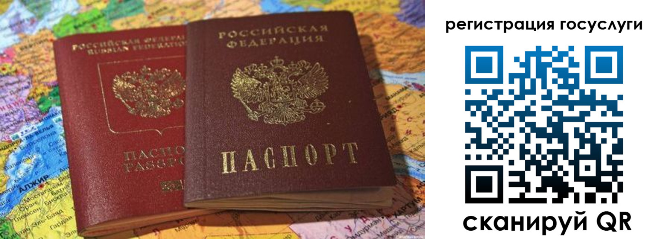 прописка поиск в Александрове
