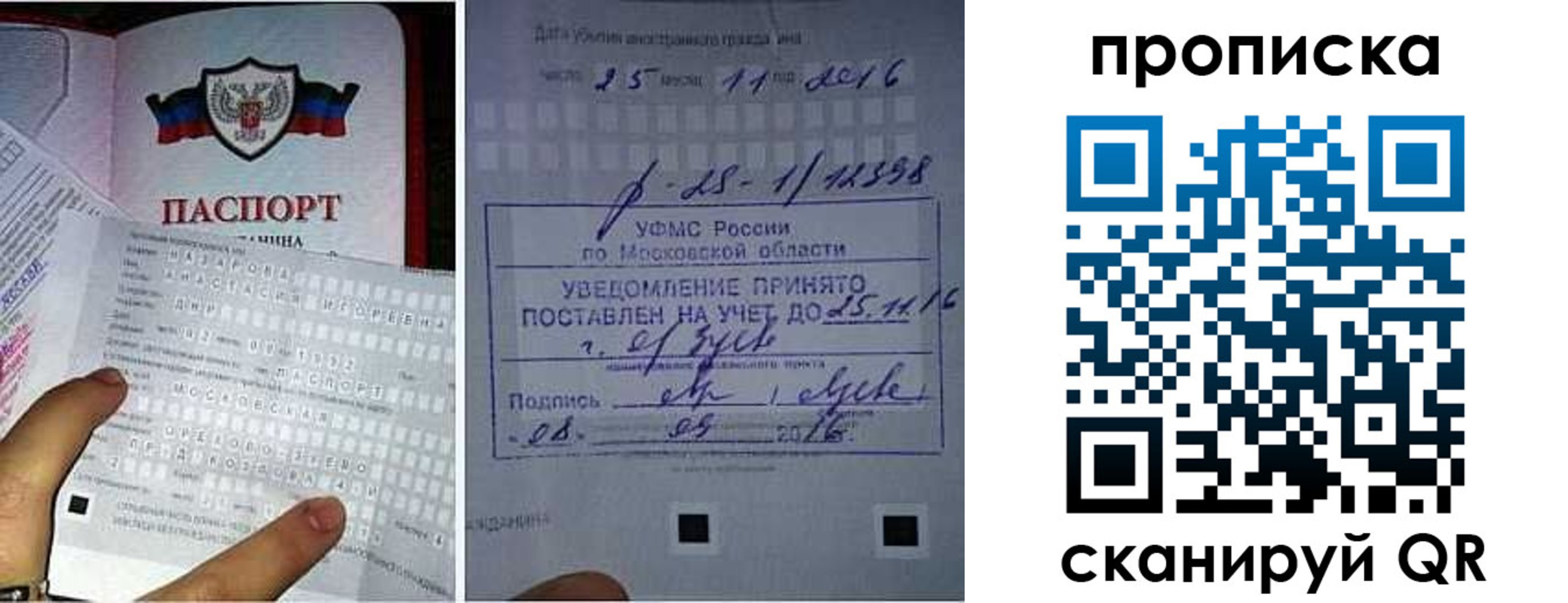 регистрация в Александрове